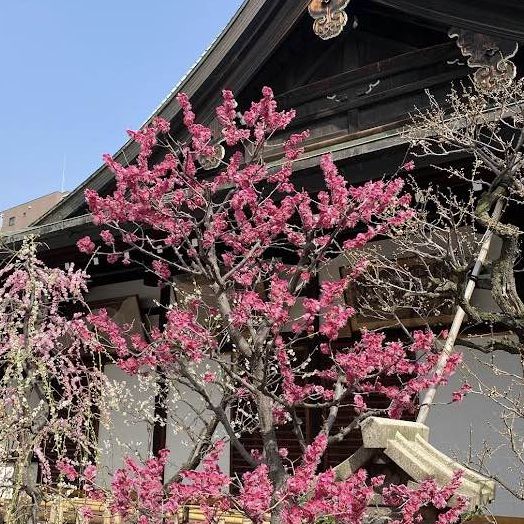 大阪天満宮