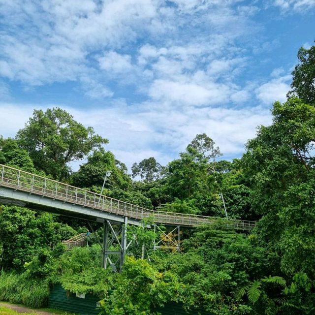 Newly opened Rifle Range Nature Park