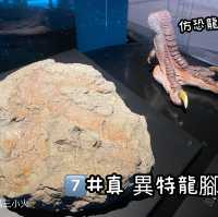 《恐龍展🦕必睇7項嬰幼龍醫護》