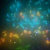 Amazing Trip S1E1 - teamLab Planets 