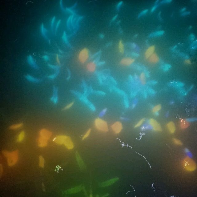 Amazing Trip S1E1 - teamLab Planets 