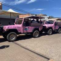 Sedona and pretty pink jeep!!