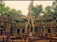Ta Promh Temple 