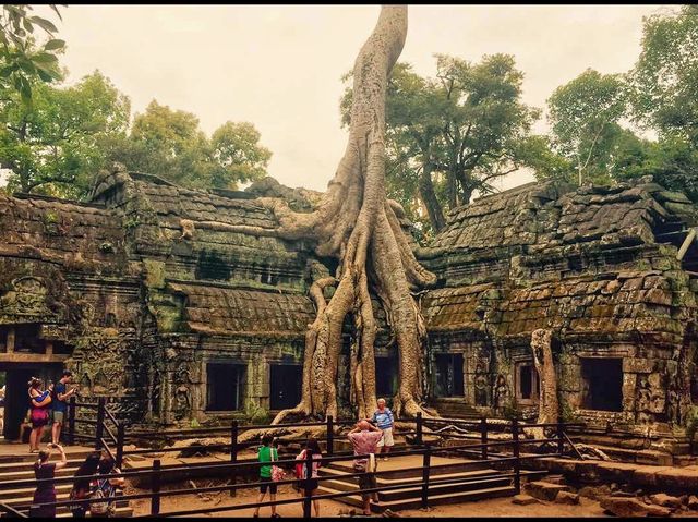 Ta Promh Temple 