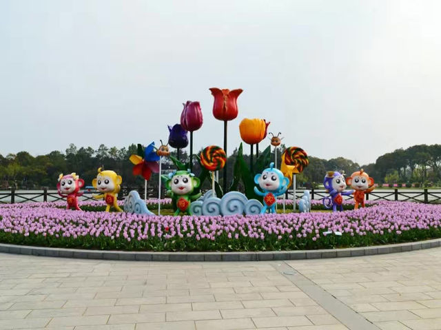 Shanghai Flower Port - Tulip Festival 