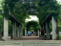 Quincy Market - Boston 