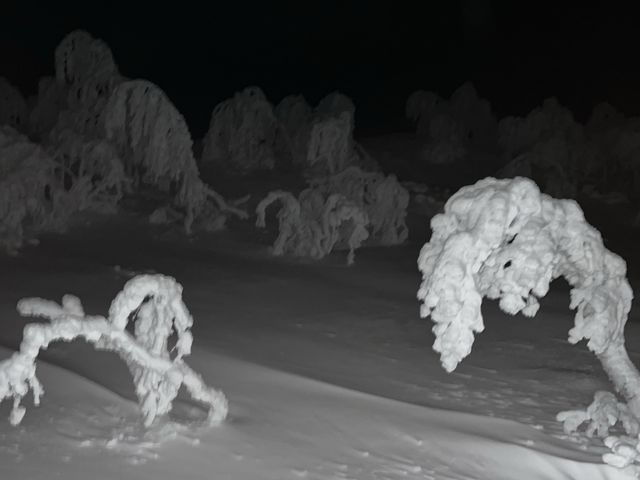 雪之領域❄️ - 🇫🇮芬蘭北部行政區 拉普蘭區(Lapland)