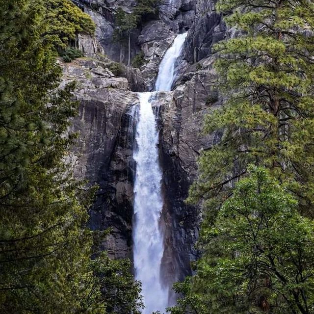 Yosemite falls 