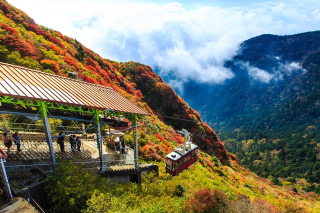 紅色秋山美景 