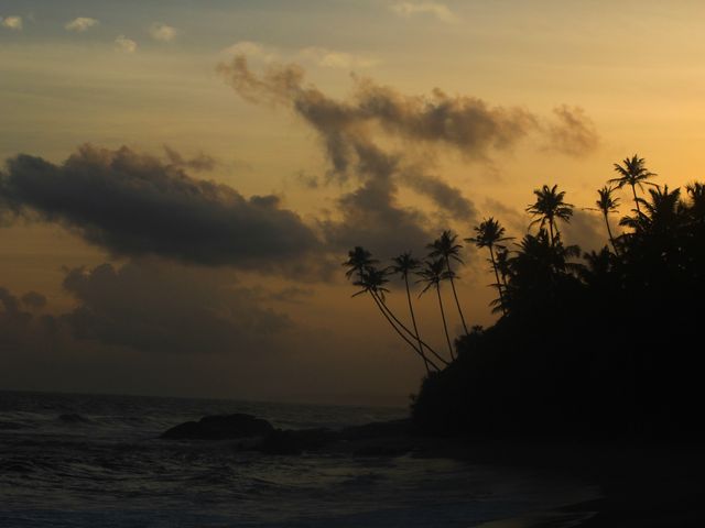 Mirissa Beachlife - Sri Lanka