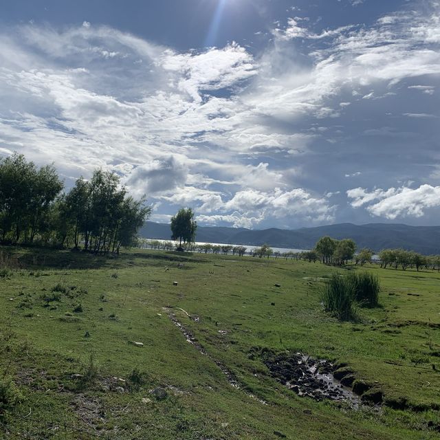 wetlands in Lashi Lake