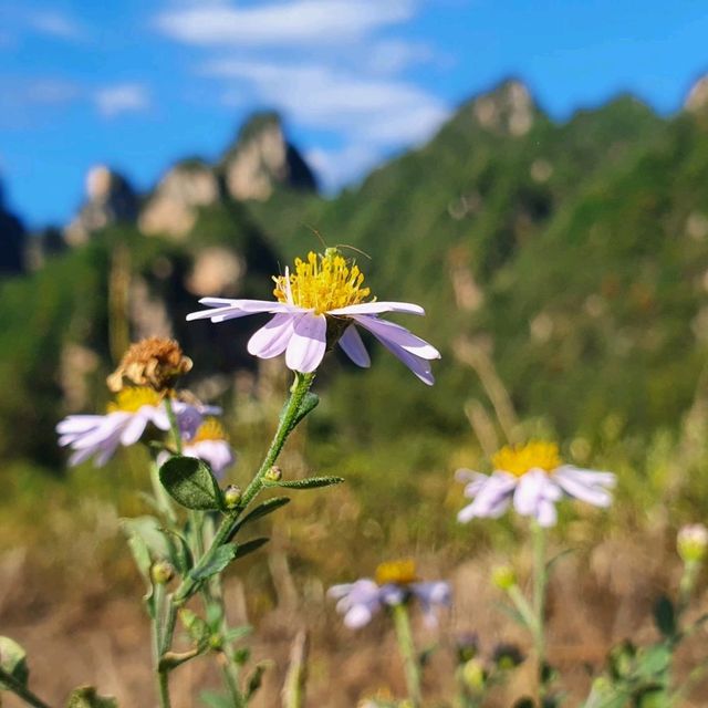 Hiking on an non touristic path