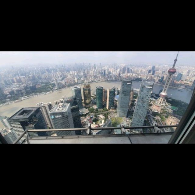 jinmao towers shanghai