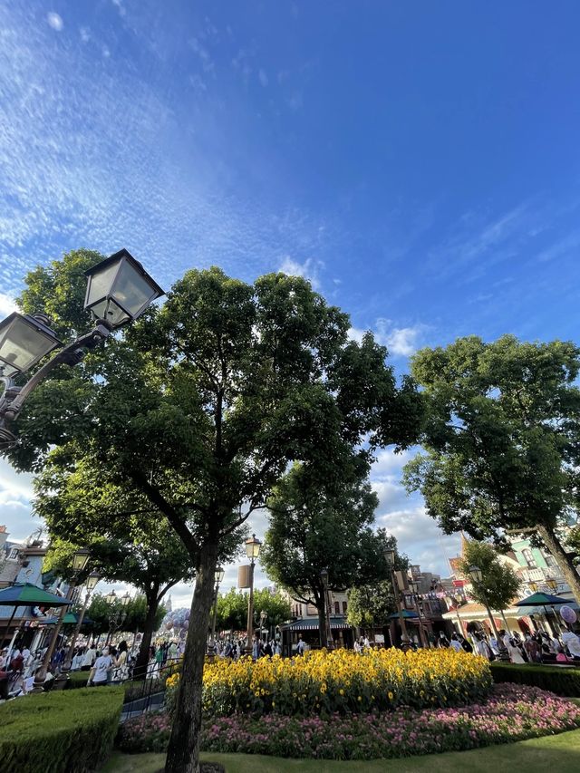Sunny Sky Days at Shanghai Disneyland🏰🎡