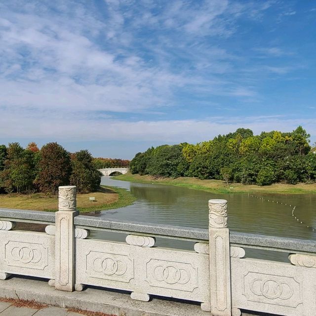 Haiwan Forest- Pet friendly & in Shanghai