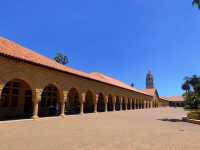The wind of freedom always blows: Stanford University, the world-renowned immersive playground for children of prestigious schools.