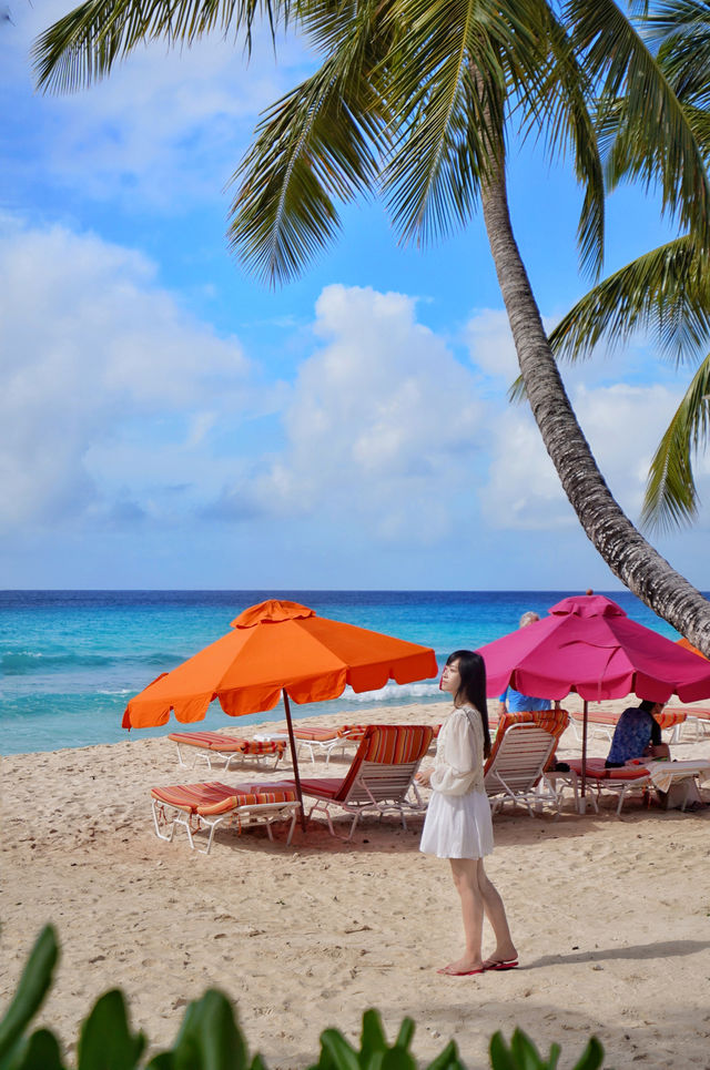 February travel | I found the jelly sea in my heart in the Caribbean 🌊