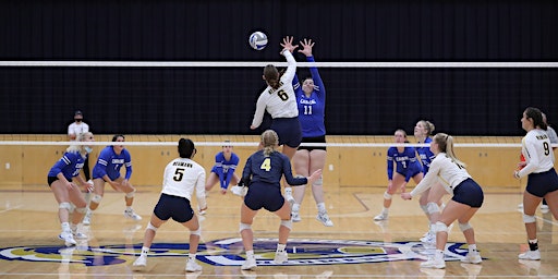 Women's Volleyball Alumni Game (Aston) | Mirenda Center