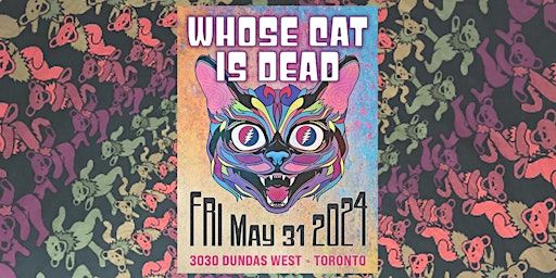 Whose Cat is Dead w/ Caution Jam (acoustic duo) | 3030 Dundas St W