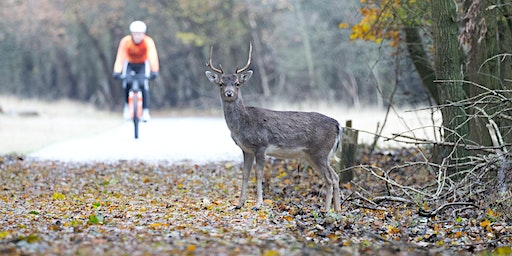 Founders & Investors Lunchtime Bike Ride + Coffee Social Richmond Park | Cycle Exchange