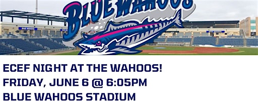 ECEF NIGHT AT THE WAHOOS! | Blue Wahoos Stadium featuring Admiral Fetterman Field - Home of the Pensacola Blue Wahoos