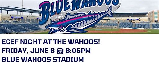 ECEF NIGHT AT THE WAHOOS! | Blue Wahoos Stadium featuring Admiral Fetterman Field - Home of the Pensacola Blue Wahoos