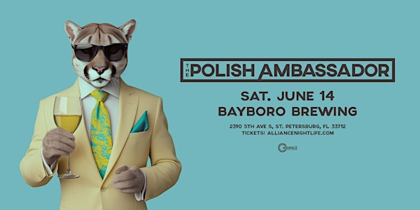 The Polish Ambassador - St. Petersburg, FL | Bayboro Brewing