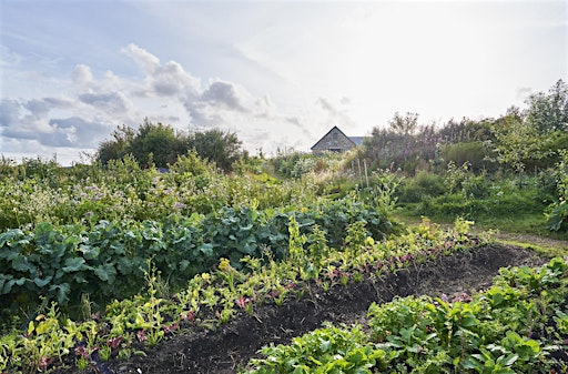 Introduction to Natural Farming | Birch Farm