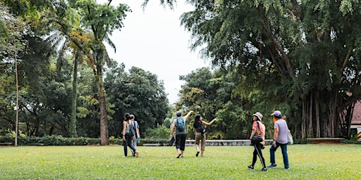 From Seed to Tree: Fort Canning | Fort Canning Park
