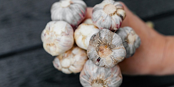 Garlic Growing Workshop | 5300 34B Avenue, Delta, BC, Canada