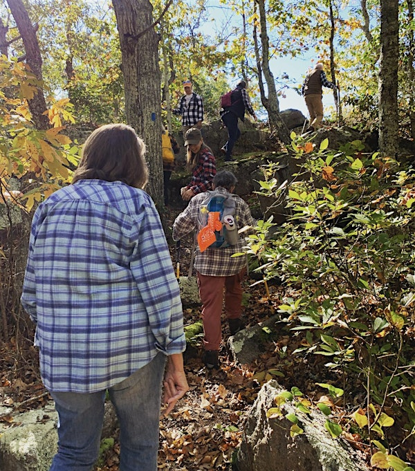 Flannel in the Forest | Crandall Family Preserve