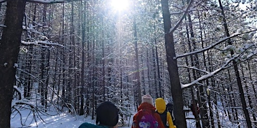 Guided hike- West Bragg creek  a mix of some of the best trails (3B) | West Bragg Creek Day Use Area
