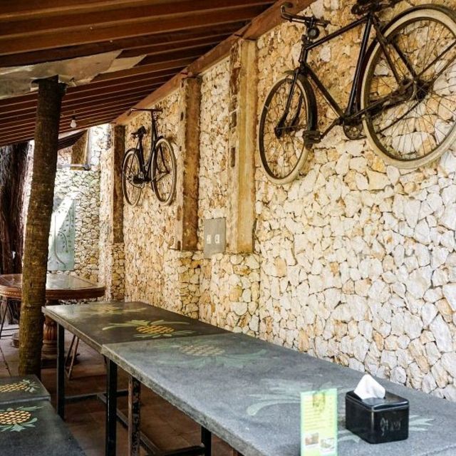 Waroeng Pohon At Jogja
