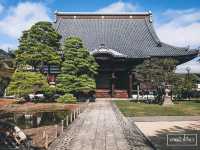 นากาโน (Nagano) เที่ยวญี่ปุ่น 🇯🇵