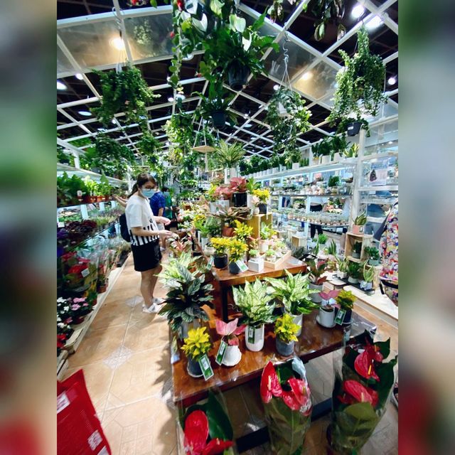 花香撲鼻