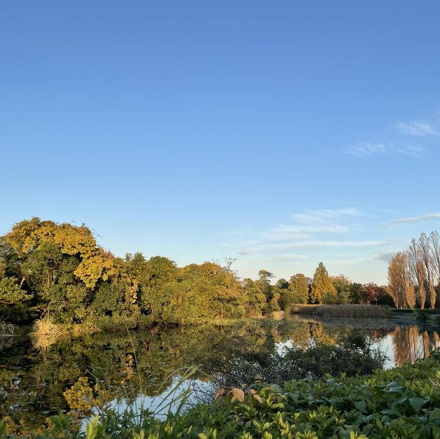 水元公園の紅葉