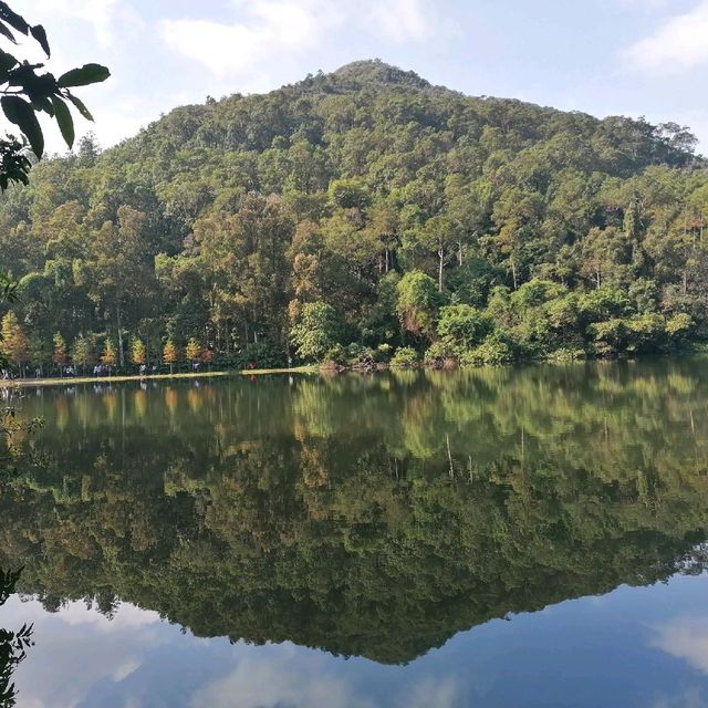 流水響至鶴藪鳳園山遊樂