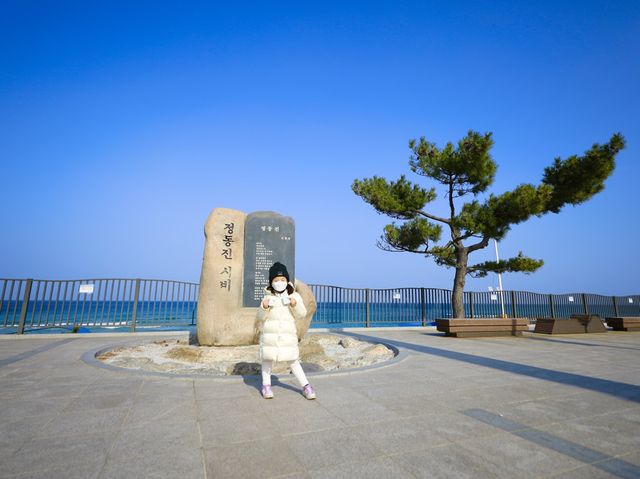 강릉 정동진해변 바다와 가장 가까운 정동진역