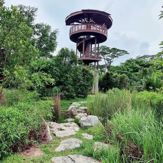 Kranji Marshes exploration