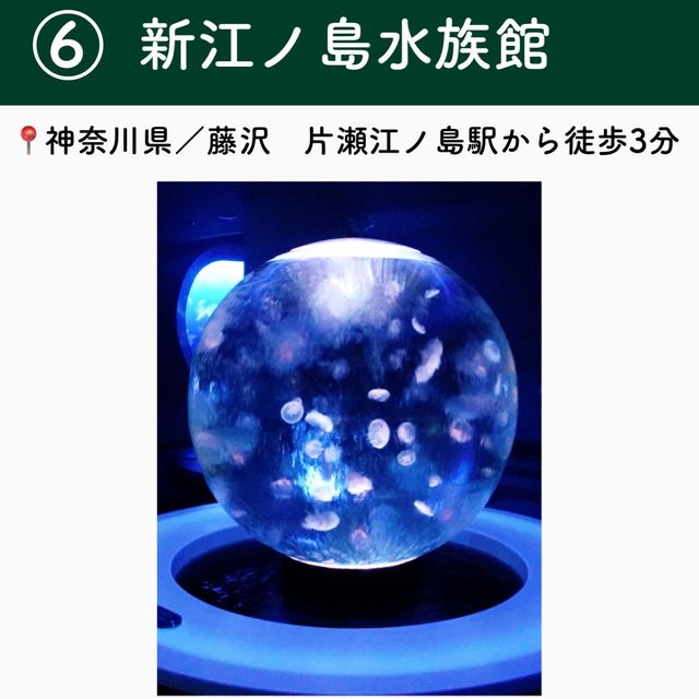 【神奈川】行ってよかった鎌倉の観光地６選