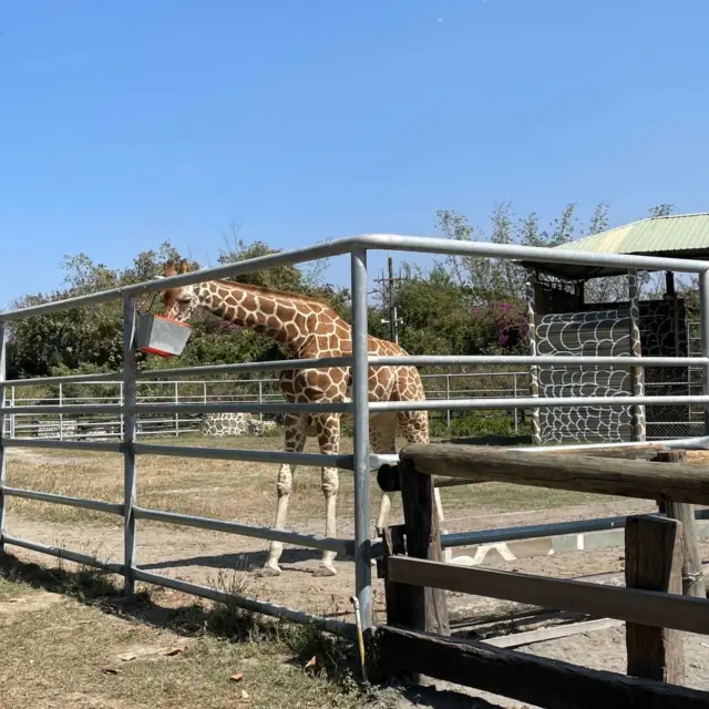 台南人小時候必去的動物園