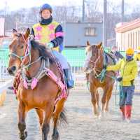 冬の帯広競馬場