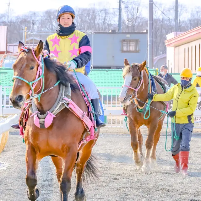 冬の帯広競馬場