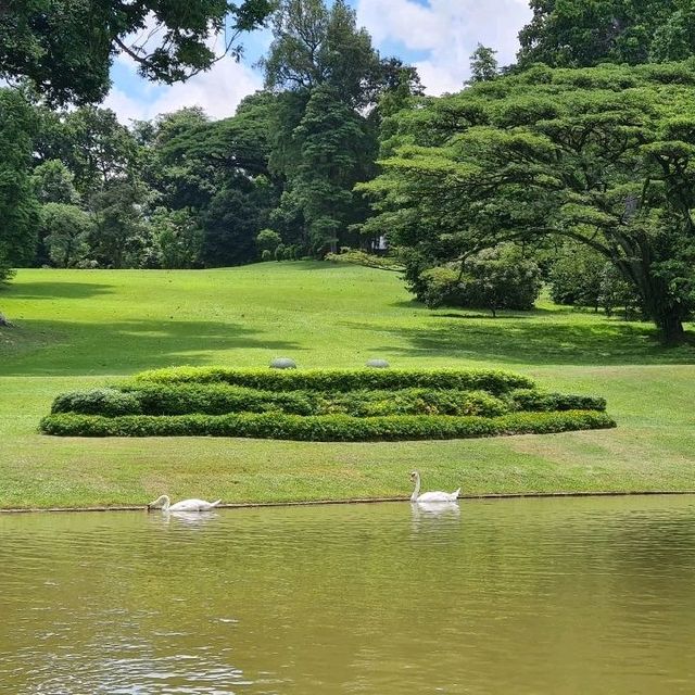 Manicured gardens in the Istana