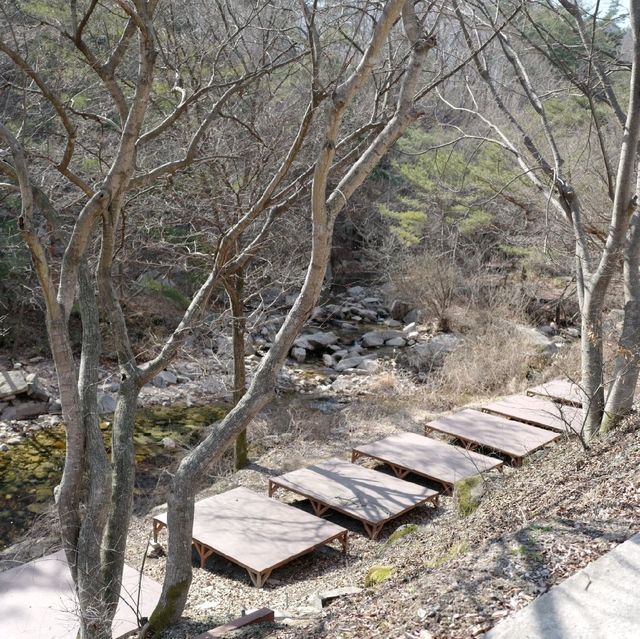 괴산 등산 대야산 