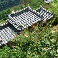 안동 봄여행 병산서원