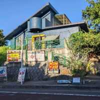 西表島でイノシシチャンプルー食べてみた