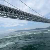 淡路島うずしおandお寿司、玉ねぎ大満足