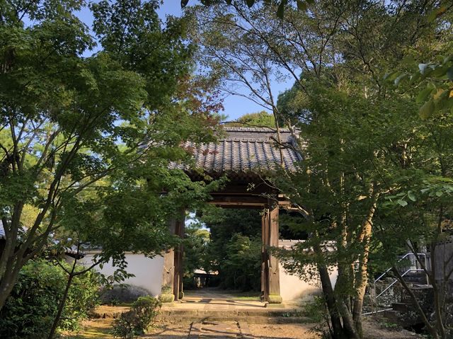 【長崎】諫早家の菩提寺