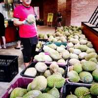 One Of The Best Durian In KL